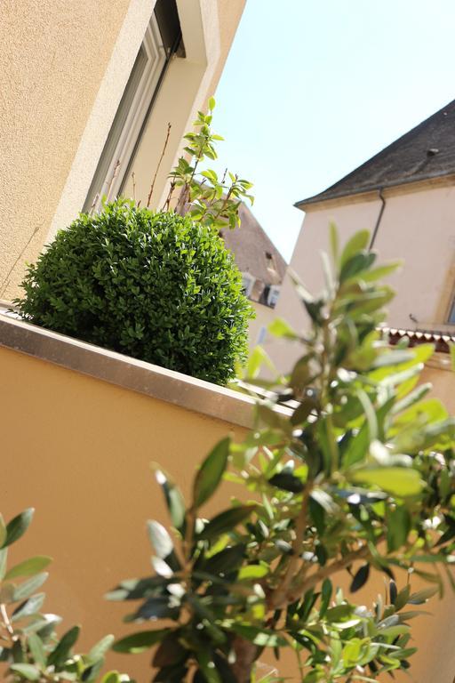 Le Saint-etienne Avec Terrasse *